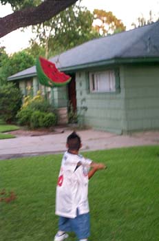 DCP_3988